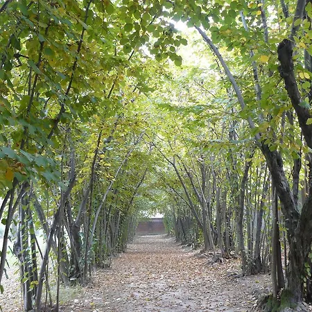 Al Concerto Bed & Breakfast San Benigno Canavese