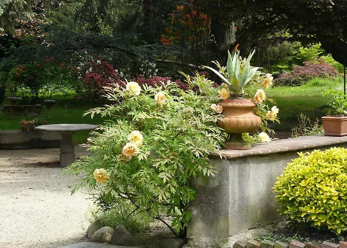 Couette-café Al Concerto *