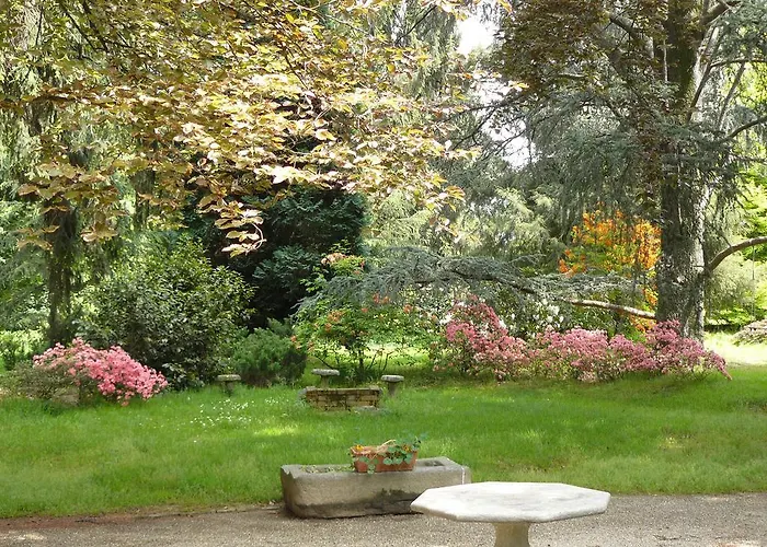 Al Concerto Couette-café