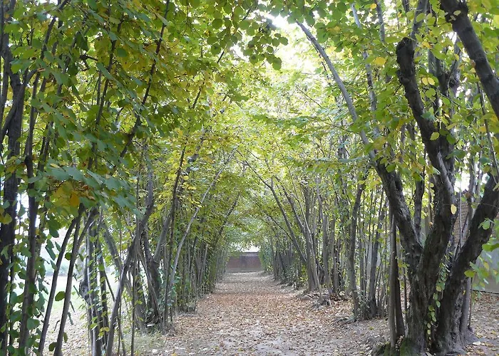 Al Concerto Couette-café San Benigno Canavese