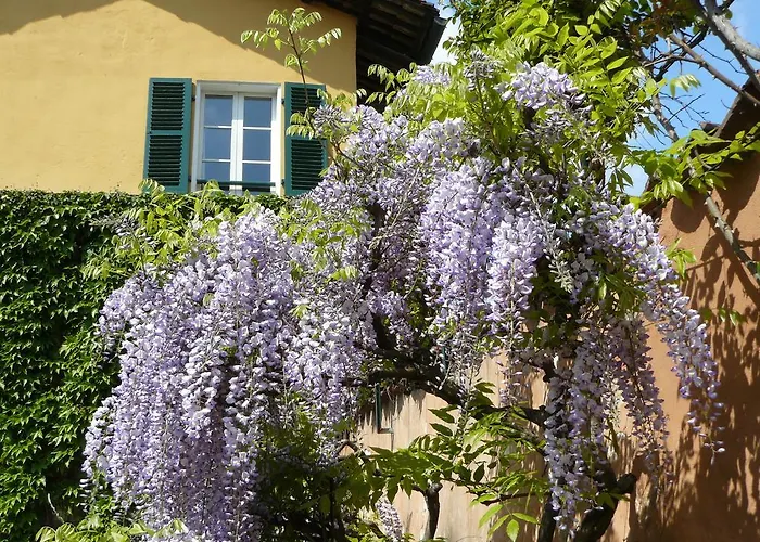 Al Concerto Couette-café *